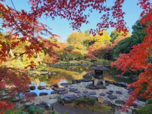 都内も紅葉の見ごろ　東京都公園協会が9庭園の情報を発表　画像１