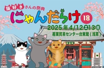 23ねこだらけ ねこだらけ』（横山 キムチ）｜講談社