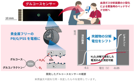血糖値測定用の電極を開発 | プレスリリース | 株式会社 共同通信社