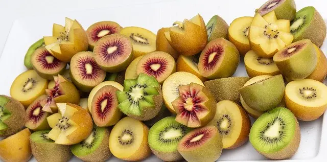 キウイは語る】（上） 垣間見えるニュージーランド人気質、果物消費で