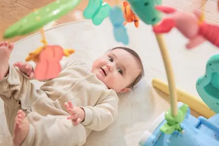 えらべる回転 6WAYジムにへんしんメリー プラス くまのプーさん