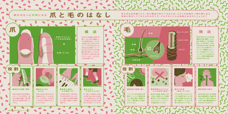 アイセイ薬局の健康情報誌が「爪と毛」を特集 フリーペーパー「ヘルス