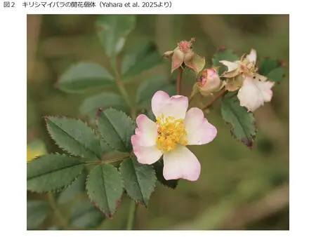 prw_PI2im_4kTWMr44.jpg.webp