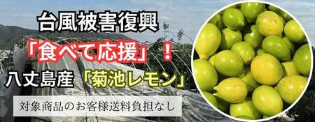 JAタウンのショップ「JA全農東京」で 「八丈島産レモン 食べて応援