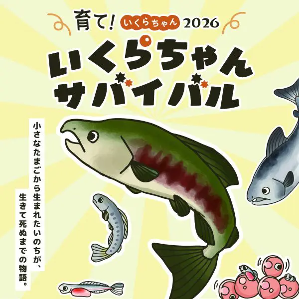 いくらちゃんサバイバル」をテーマに学ぶサケの命 京都水族館で特別展
