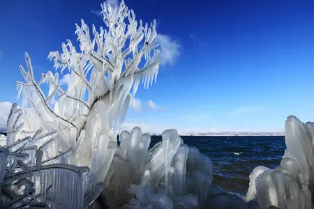 厳冬期の自然が創る芸術「しぶき氷」 ～全国的にも珍しい自然現象が