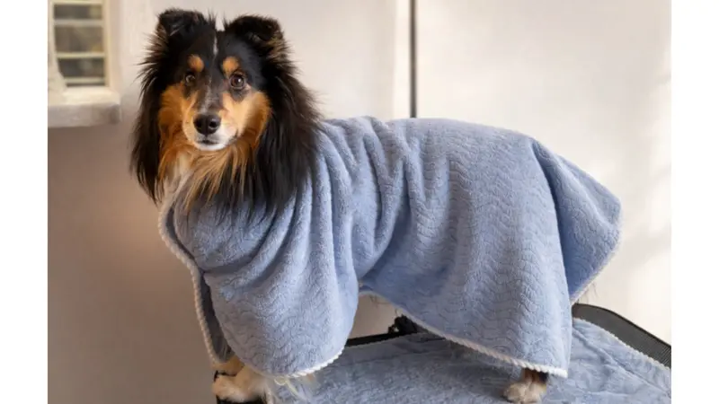 神戸どうぶつ王国、ハシビロコウの新たなペアを公開 アジアで初めての