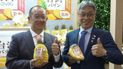 【YOUBE】 〈ネット決済・配送可〉　国産オタネニンジンの果実から作られた貴重なサプリです 楽天市場】高麗人参 オタネニンジン果実入り サプリメント