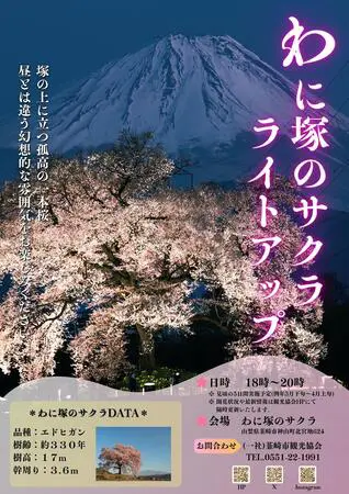 桜4本 桜樹学・桜の世界 4 栽培品種編Ⅲ（マメザクラ他栽培品種と伊豆の桜