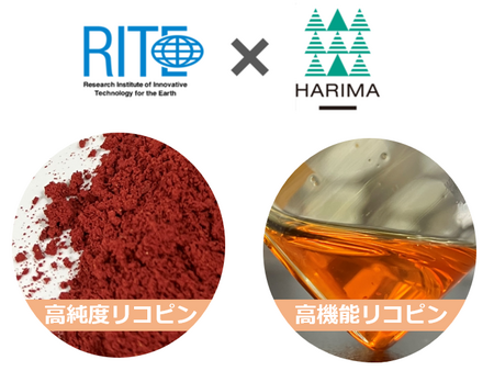 リコピン様専用ページ ベルメゾン - リコピン様専用ページ 防寒 リコピン様専用ページ ベルメゾン - リコピン様専用ページ 防寒