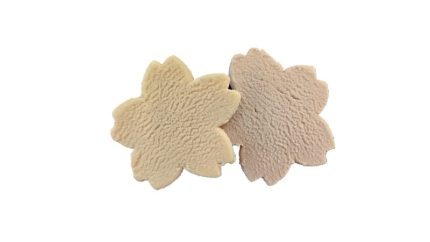 地域を味わう！福島地場産オリジナルクッキー発売