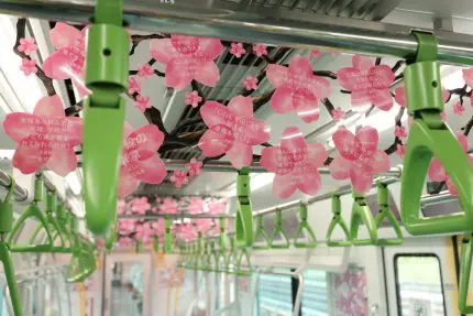 山手線Dreamトレイン、中吊りが「桜の木」に 俳優やスポーツ選手など 山手線Dreamトレイン、中吊りが「桜の木」に 俳優やスポーツ選手など