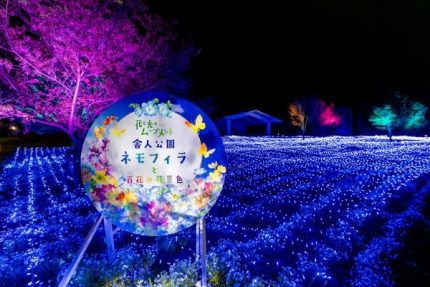 kyd_4005693_e706569fcdb20377b8
