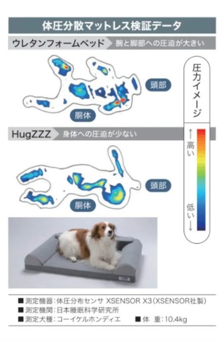 愛犬の心地よい眠りのために プレミアムベッド「ハグズ」が登場