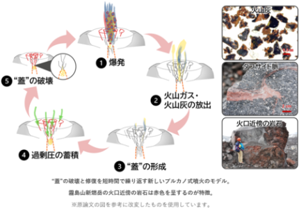 噴火の爆発力を蓄積する硬い“蓋”がなぜ短期間に修復されるのか