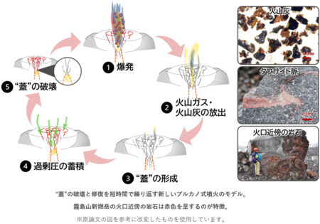 噴火の爆発力を蓄積する硬い“蓋”がなぜ短期間に修復されるのか