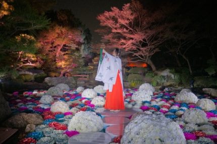 抽象的なパステル画 植物と球体宙花 大濠公園日本庭園『宙-SORA-』に新コンテンツ「浮花 -Fuka-」誕生