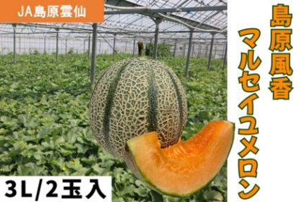 長崎県産の「島原風香 マルセイユメロン」がJAタウンのショップ