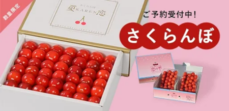 岩手県産さくらんぼ佐藤錦と紅秀峰の「夏恋(かれん)」と「恋の雫」を